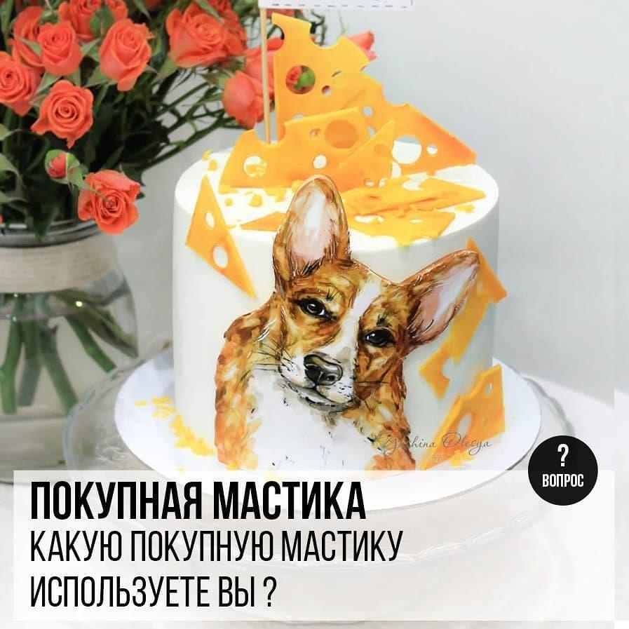 Покупная мастика: Какую покупную мастику используете вы?